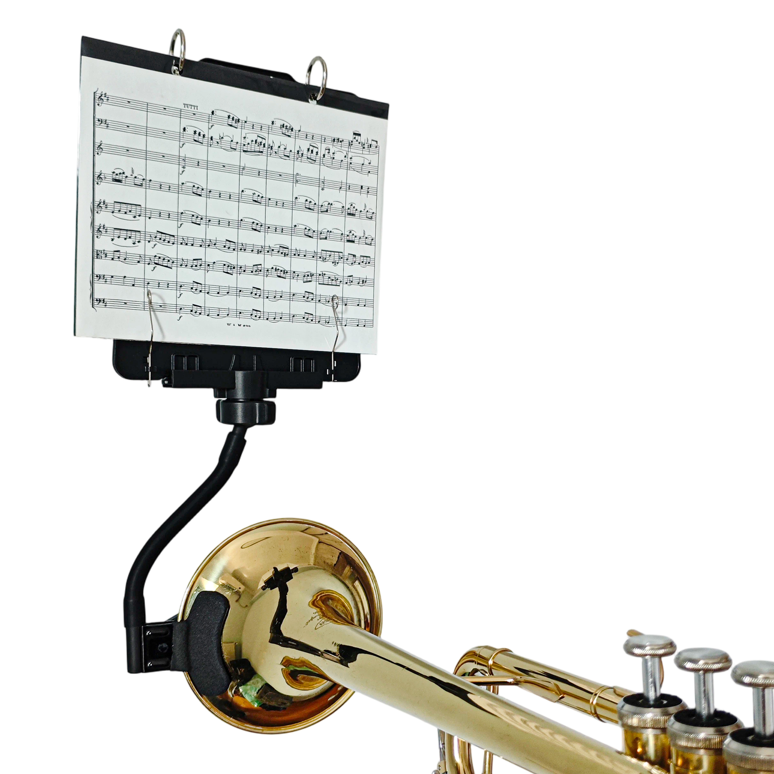 ST10 - Trumpet Lyre