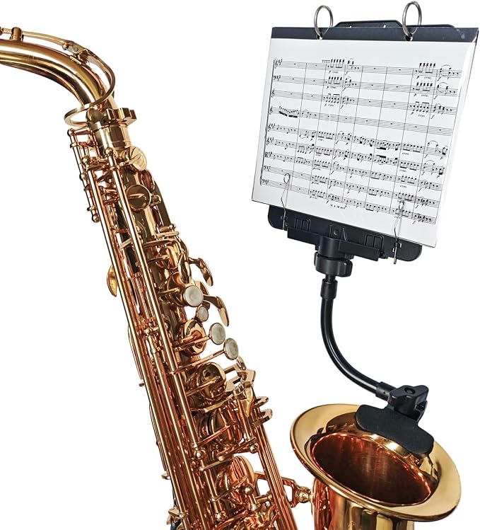 ST10S - Saxophone Lyre - Image 1
