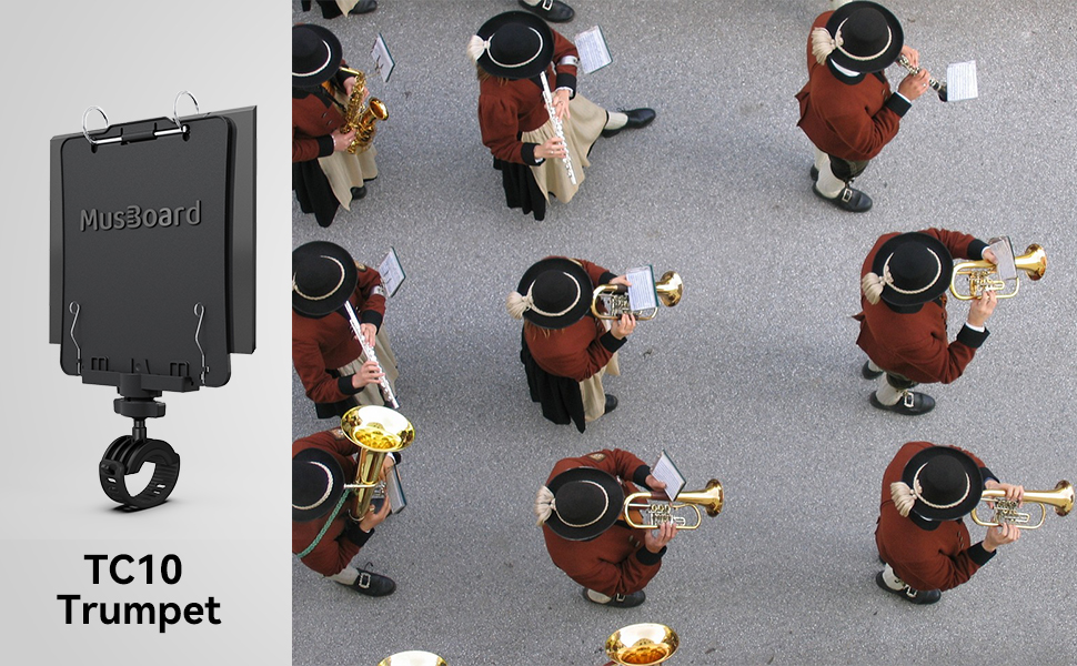 TC10 - Trumpet Lyre - Detail 2